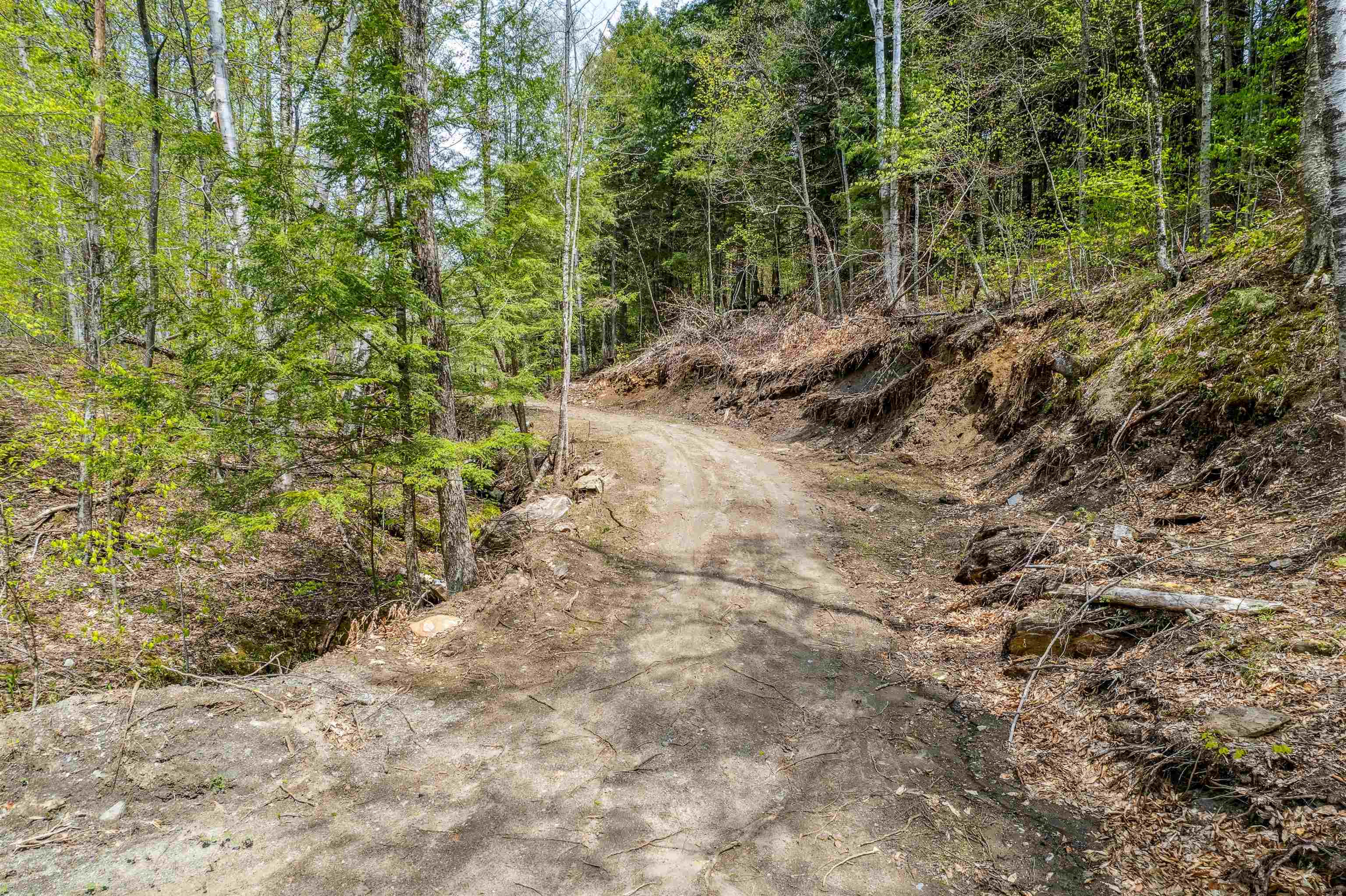 0 Chapel Hill Road, Unit 3 Sharon, VT 05065 - Photo 4 of 20