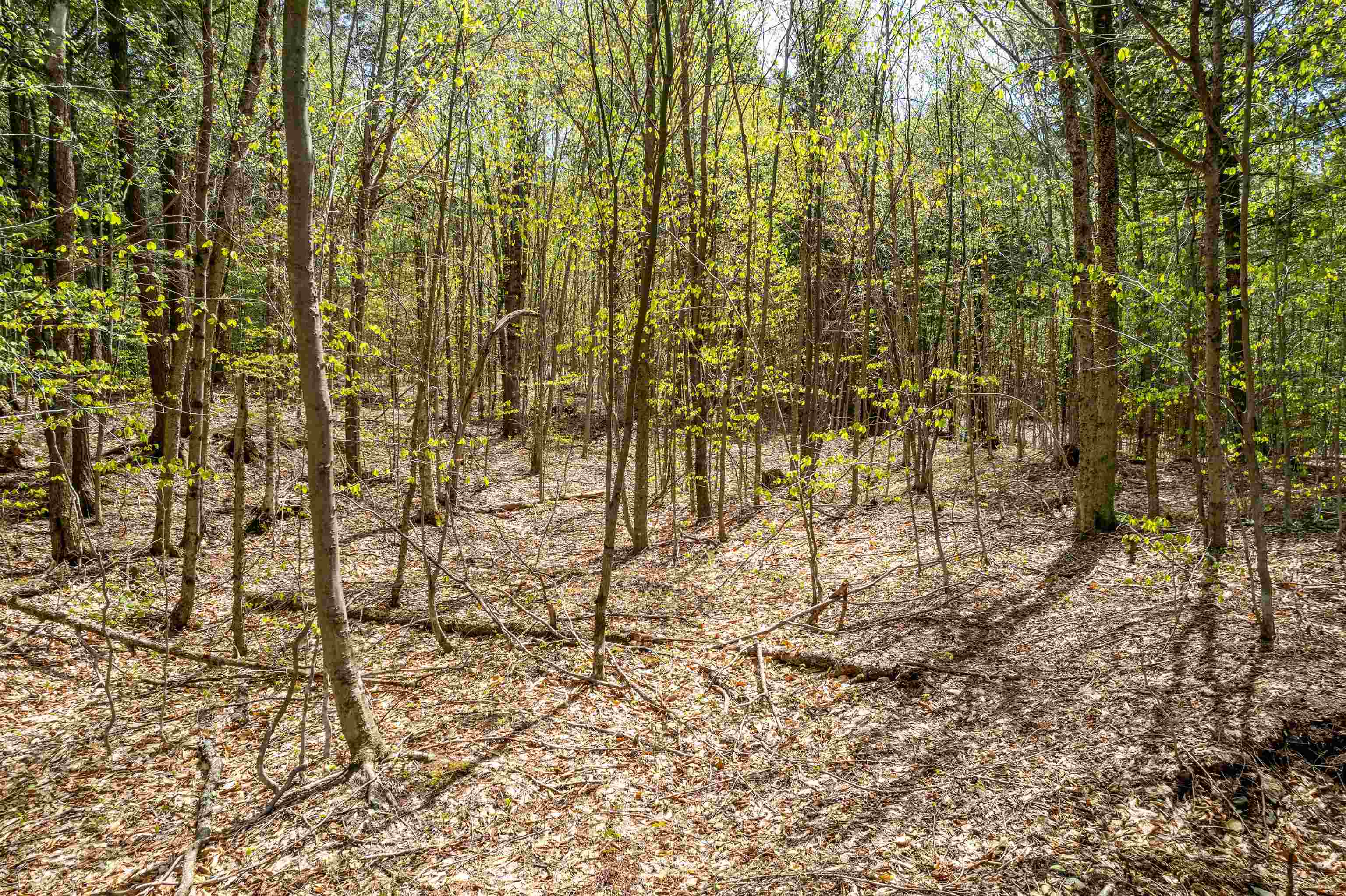 0 Chapel Hill Road, Unit 3 Sharon, VT 05065 - Photo 8 of 20