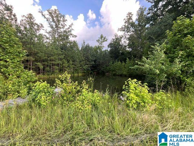 1663 County Road 2 Montevallo, AL 35115 - Photo 39 of 46