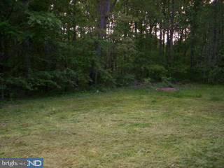 939 Judith Road Hartly, DE 19953 - Photo 6 of 6 Gallery Image 6