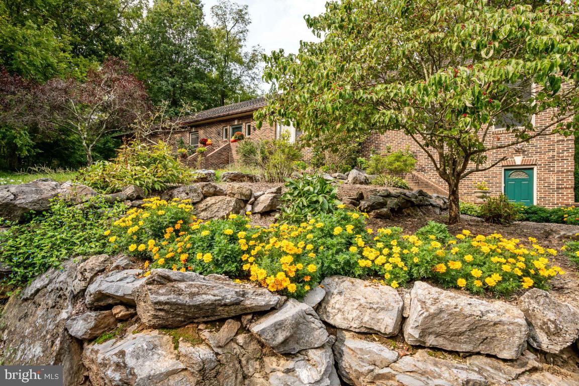 1528 Stringtown Road Berryville, VA 22611 - Photo 11 of 85 Gorgeous Front Gardens