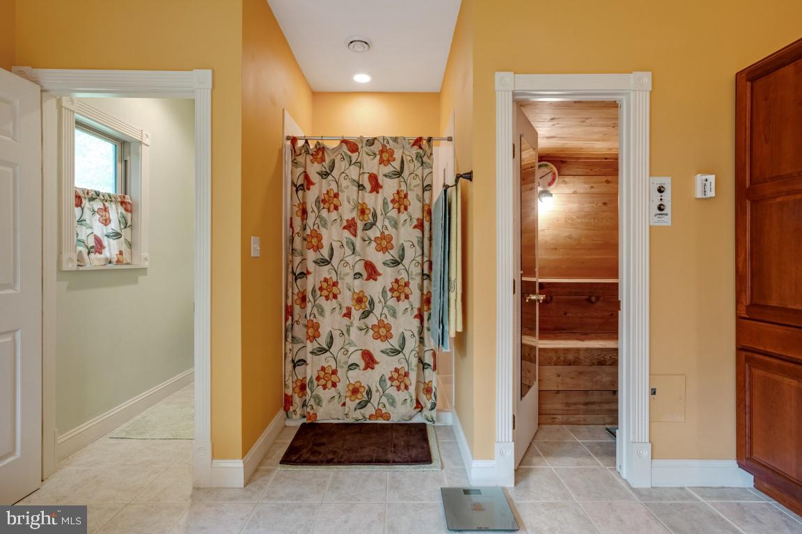 1528 Stringtown Road Berryville, VA 22611 - Photo 55 of 85 The Sauna & Water Closet