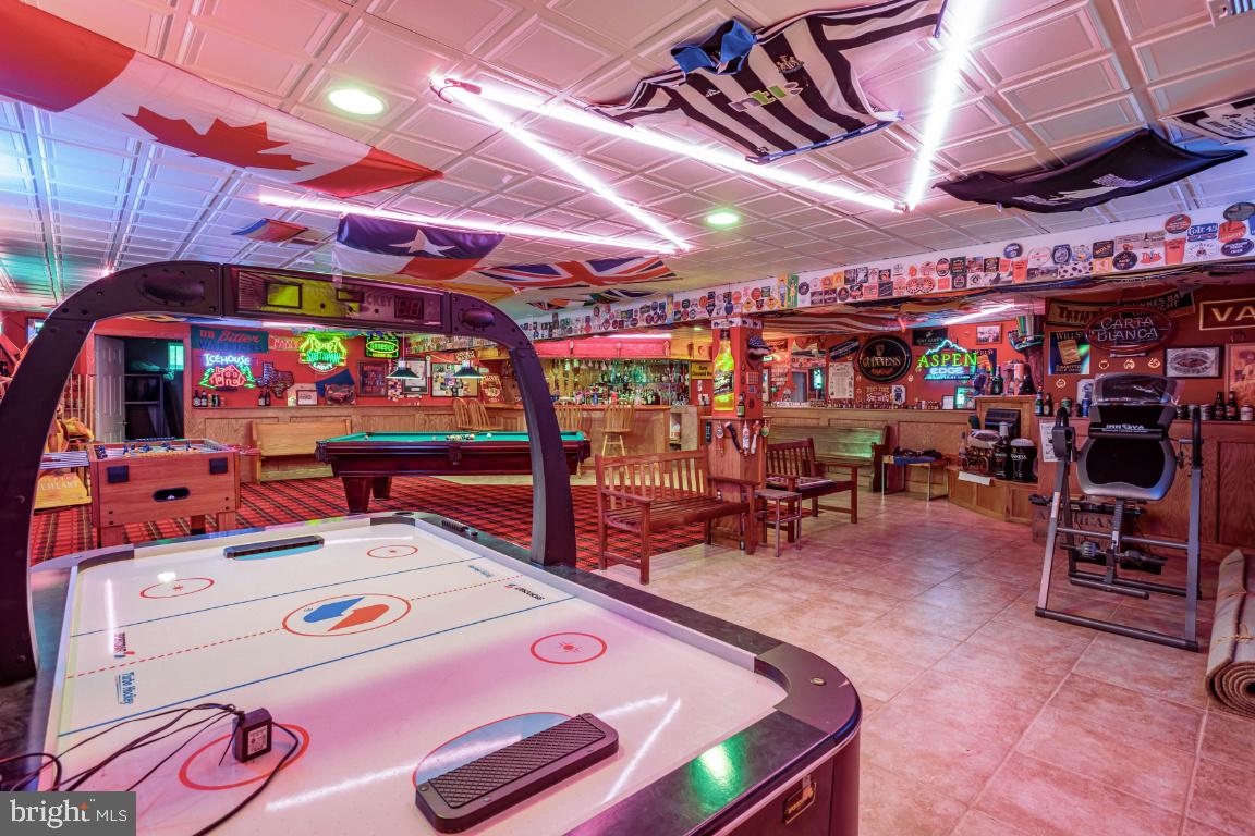 1528 Stringtown Road Berryville, VA 22611 - Photo 59 of 85 One Of a Kind Custom Rec Room & Bar!