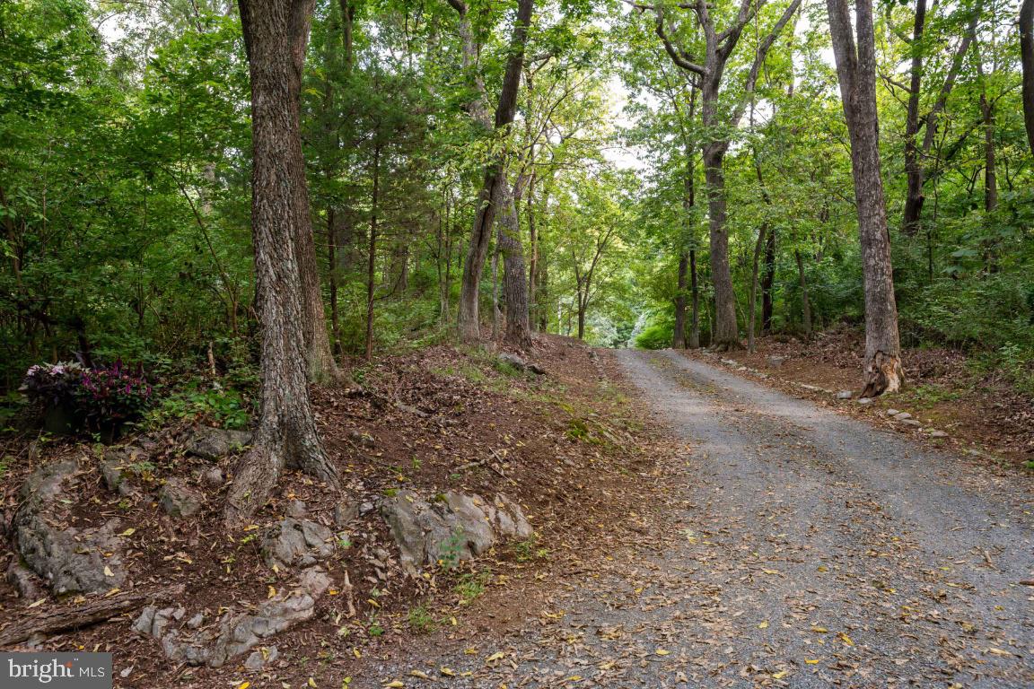 1528 Stringtown Road Berryville, VA 22611 - Photo 7 of 85 Private Driveway Coming In - Welcome