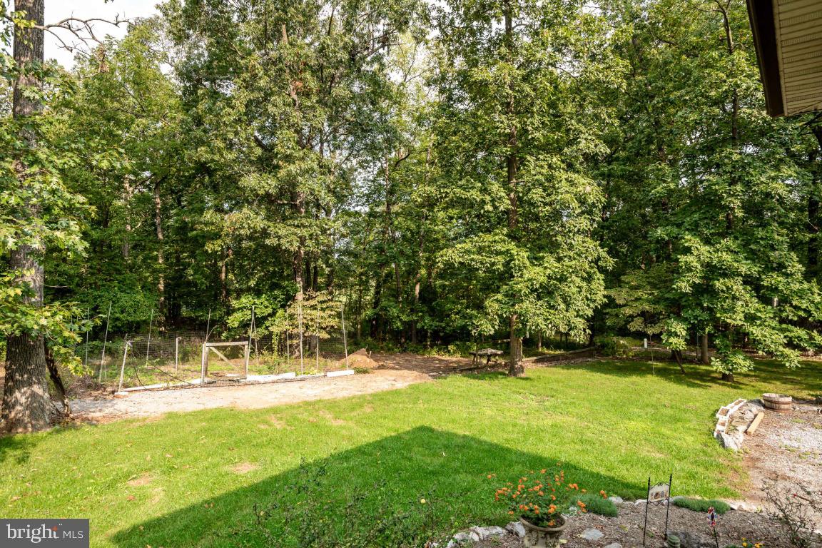 1528 Stringtown Road Berryville, VA 22611 - Photo 80 of 85 Rear Yard / Garden