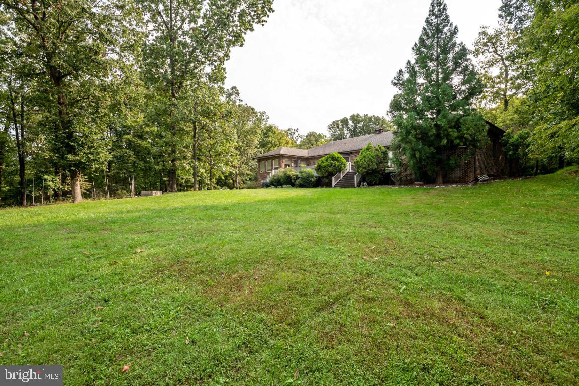 1528 Stringtown Road Berryville, VA 22611 - Photo 81 of 85 Large Open Back Yard Surrounded by Trees