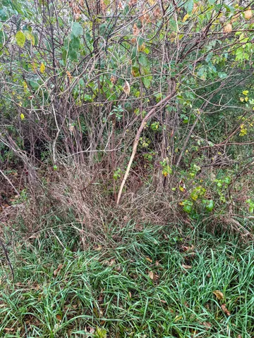 $825,000 | 4616 Groves End Lane Southeast, Rochester, MN 55904