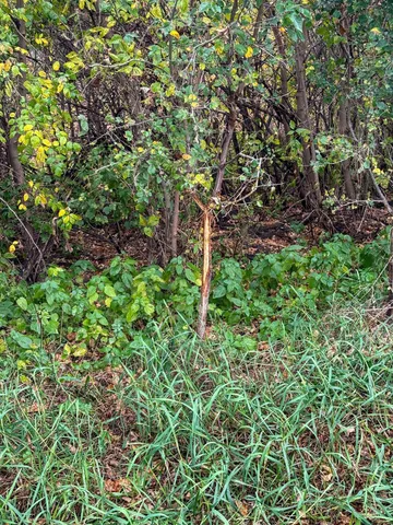 $825,000 | 4616 Groves End Lane Southeast, Rochester, MN 55904