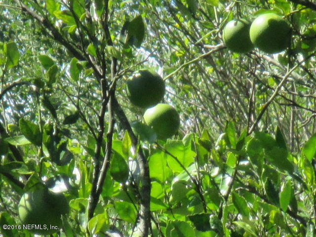 122 Denver Road Crescent City, FL 32112 - Photo 19 of 20 IMG_6453