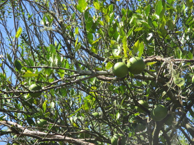 122 Denver Road Crescent City, FL 32112 - Photo 20 of 20 IMG_6454