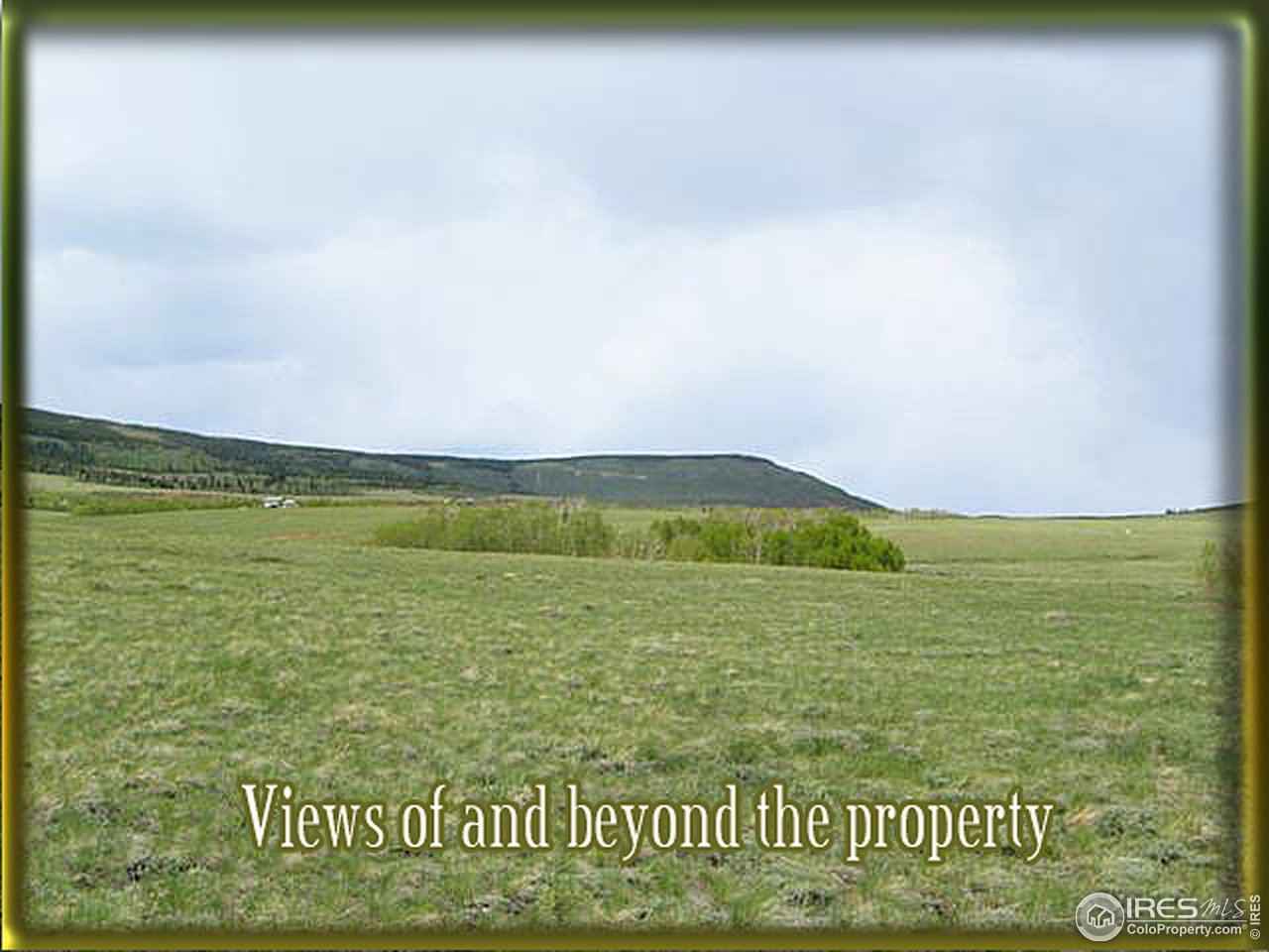 200 Muskrat Road Livermore, CO 80536 - Photo 5 of 14 Gallery Image 5