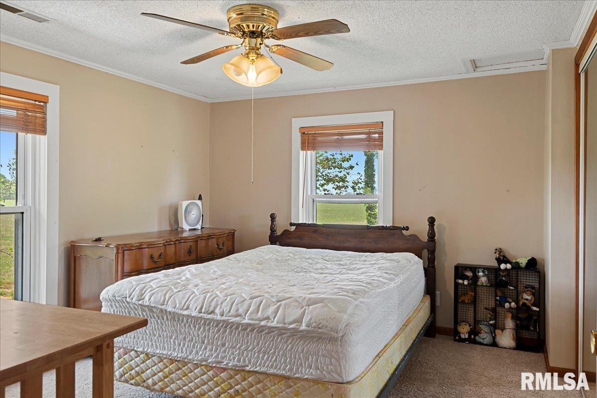 2274 McKinnie Road Springfield, IL 62707 - Photo 29 of 46