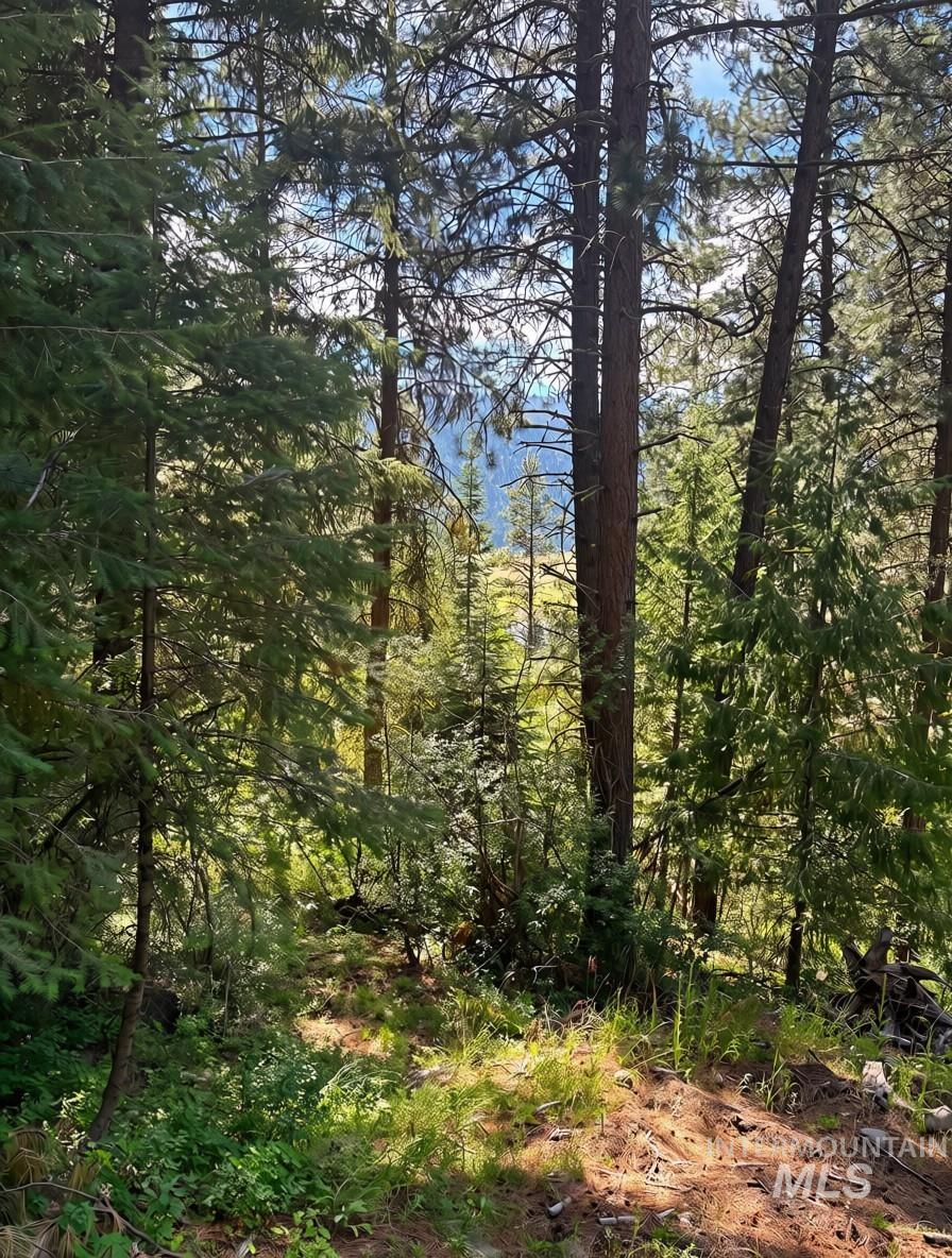 459 Collier View Road Cascade, ID 83611 - Photo 5 of 5