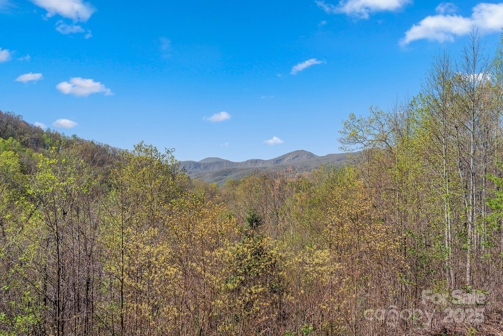 963 Lake Road Old Fort, NC 28762 - Photo 7 of 48 Gallery Image 7