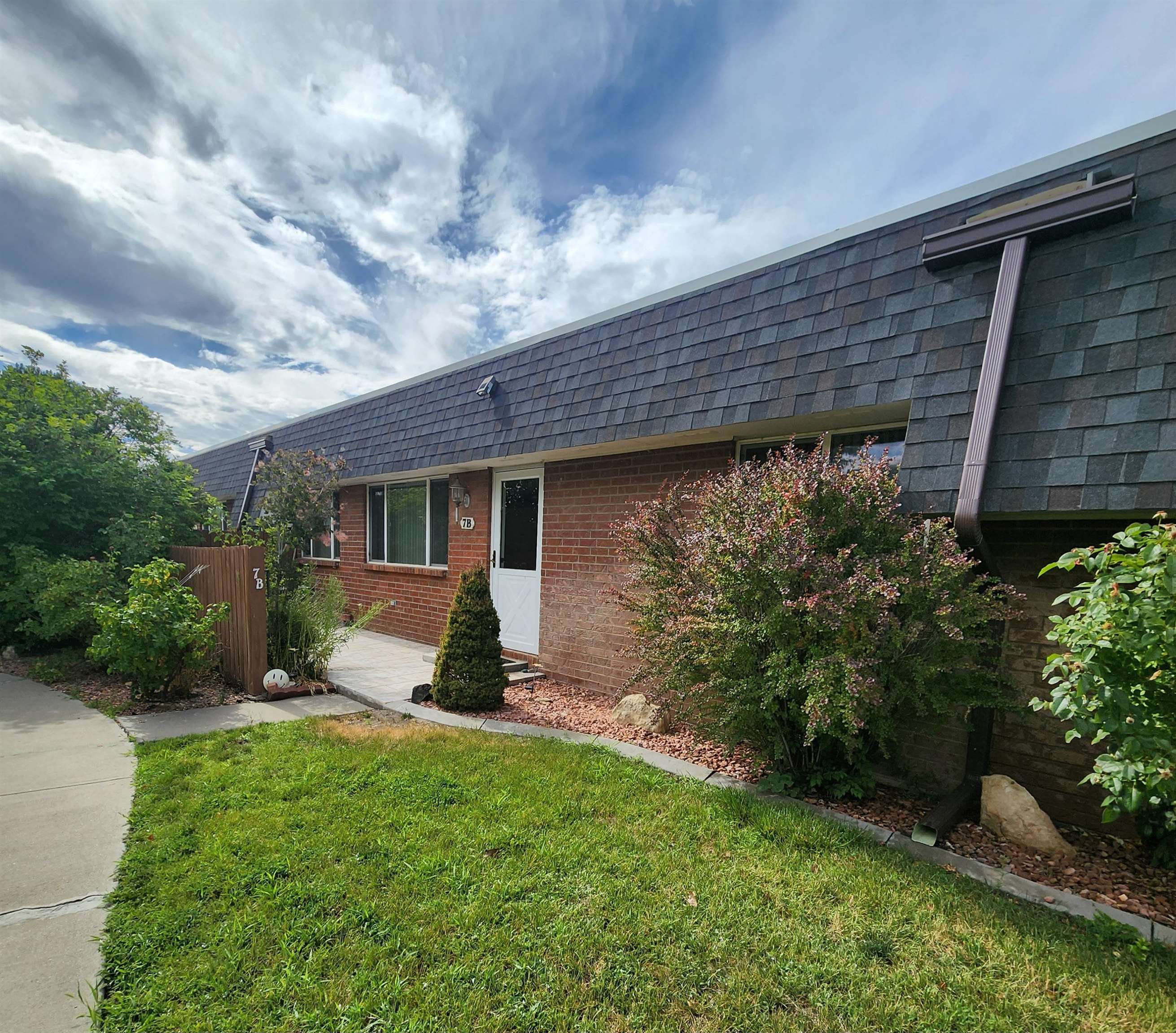 a view of a backyard with plants and large tree