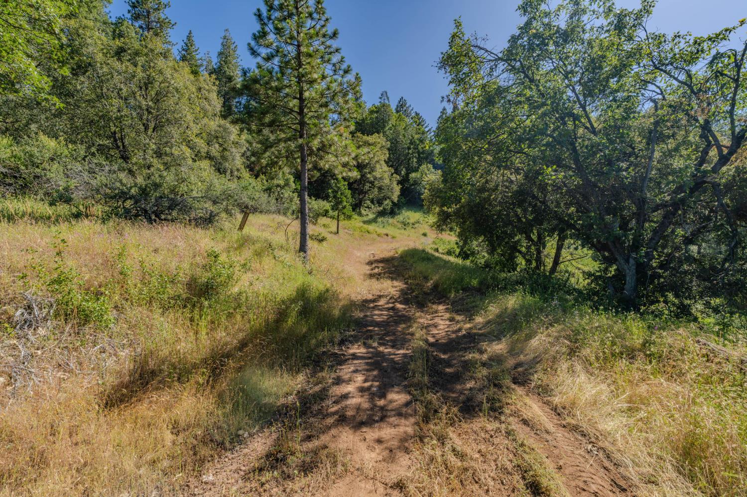 0 Schaefer Ranch Road Pioneer, CA 95666 - Photo 48 of 72