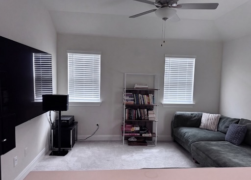 266 Sugar Cane Road Buda, TX 78610 - Photo 13 of 26