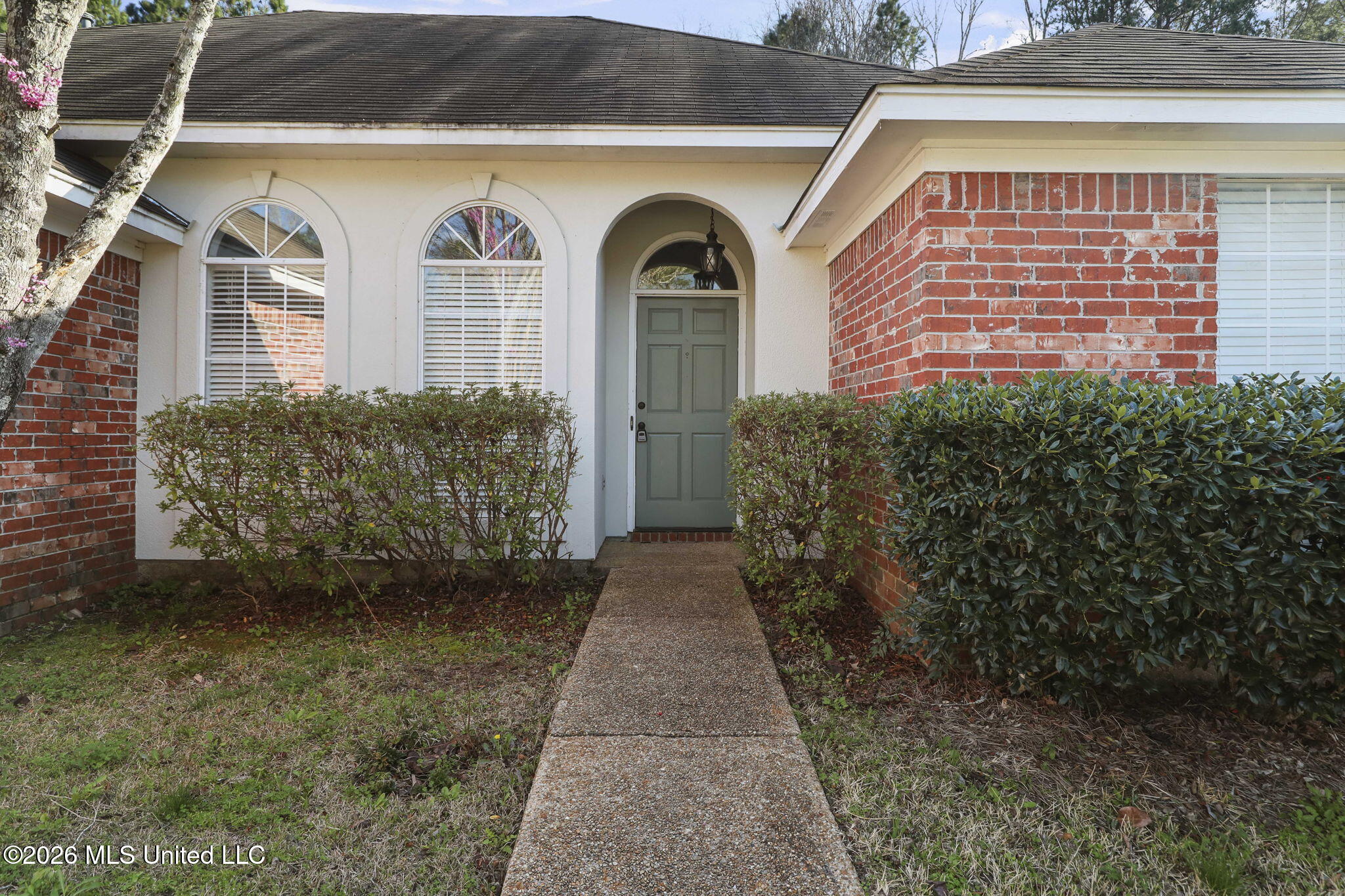 5-web-or-mls-286 Azalea Ct-5