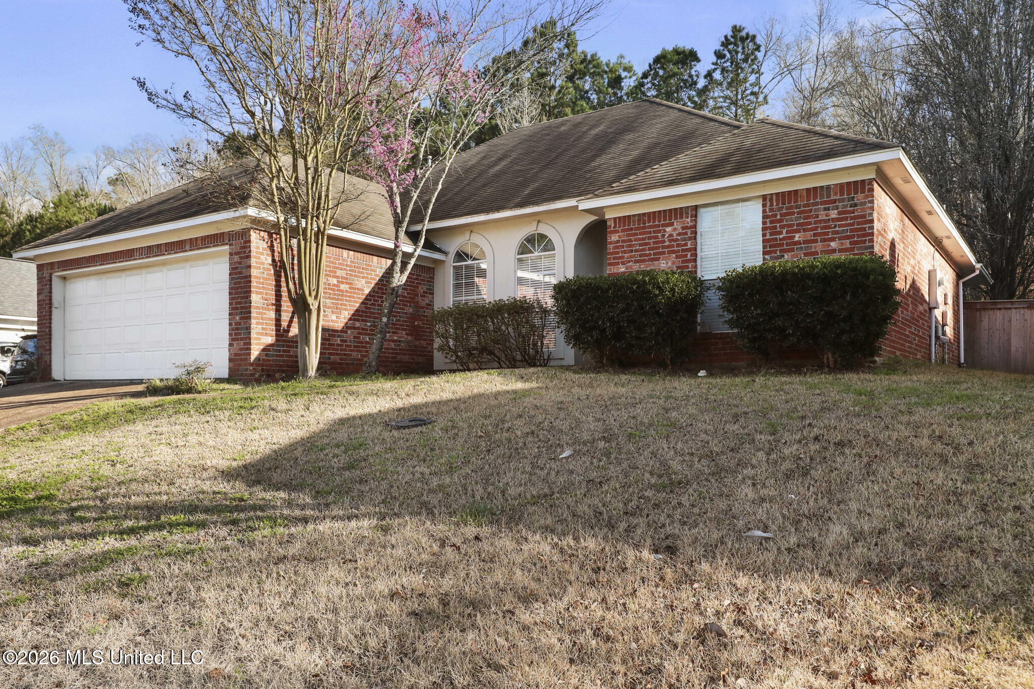 286 Azalea Court Brandon, MS 39047 - Photo 2 of 37 3-web-or-mls-286 Azalea Ct-3
