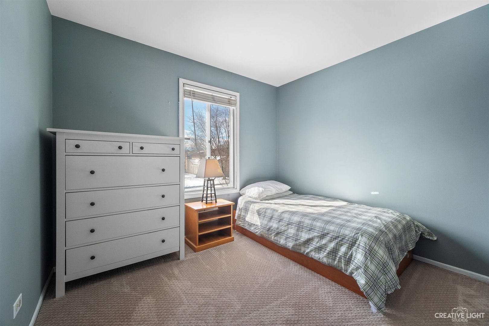 748 Hageman Place Naperville, IL 60563 - Photo 11 of 18