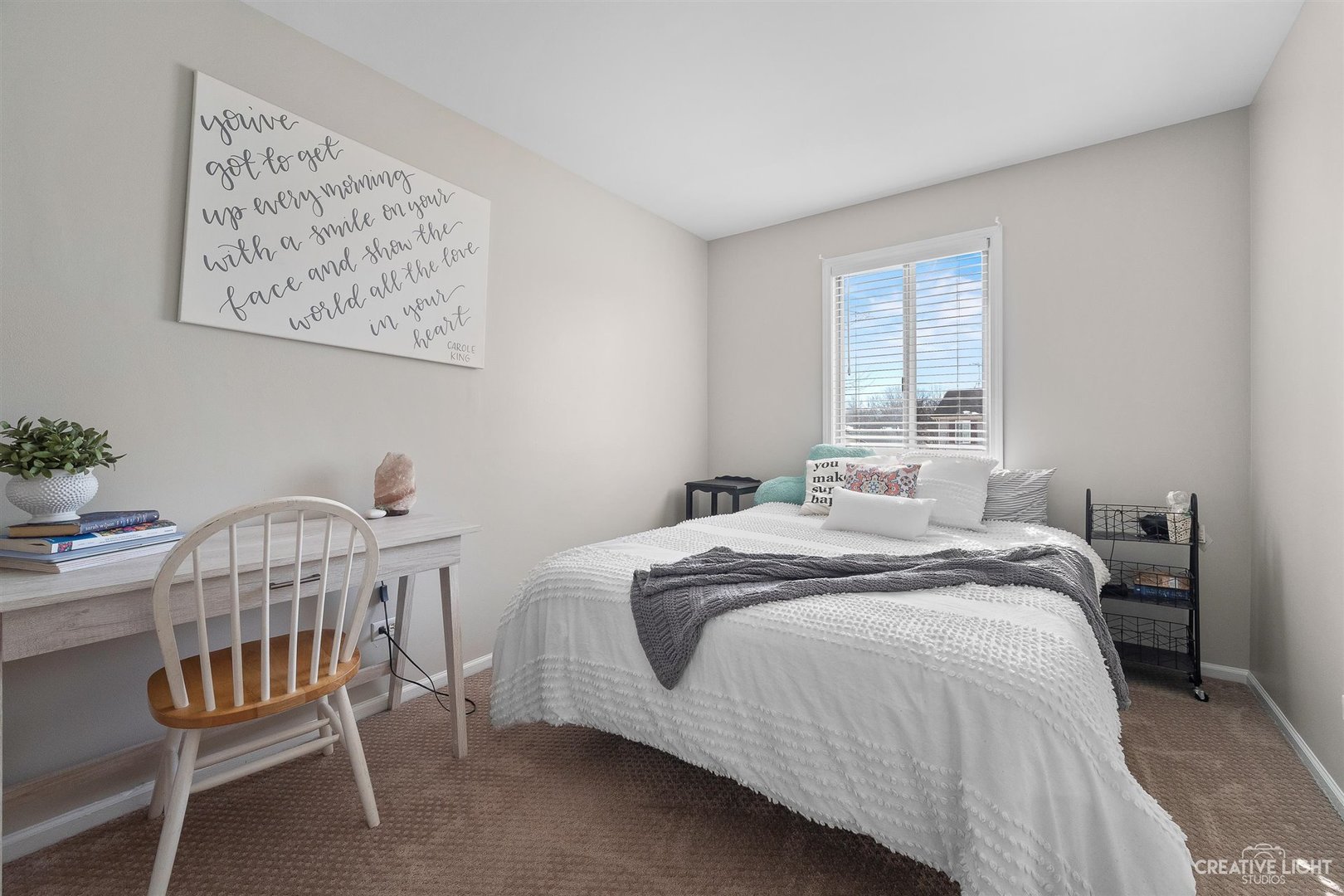 748 Hageman Place Naperville, IL 60563 - Photo 10 of 18