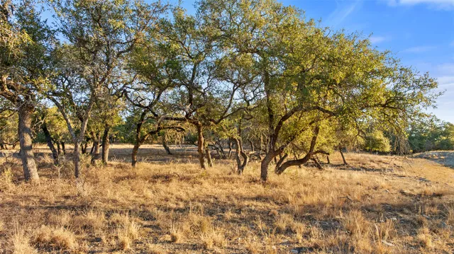 a view of snow on the road