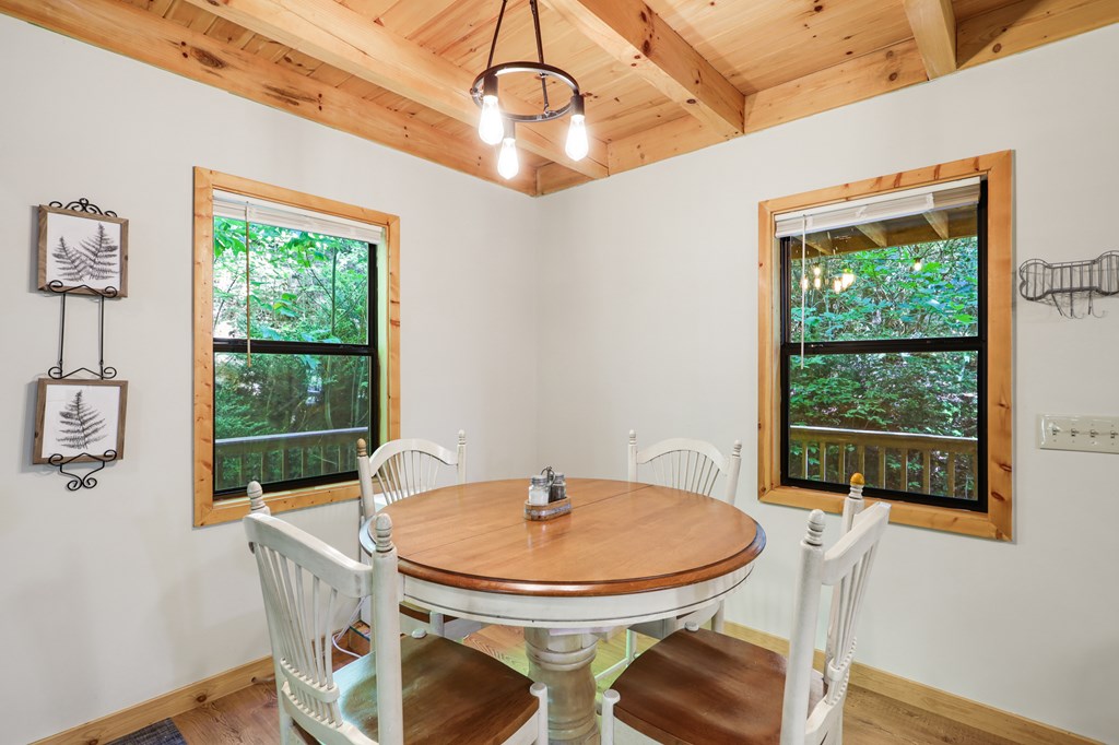 314 Wild Ridge Road Blairsville, GA 30512 - Photo 4 of 37 Gallery Image 4