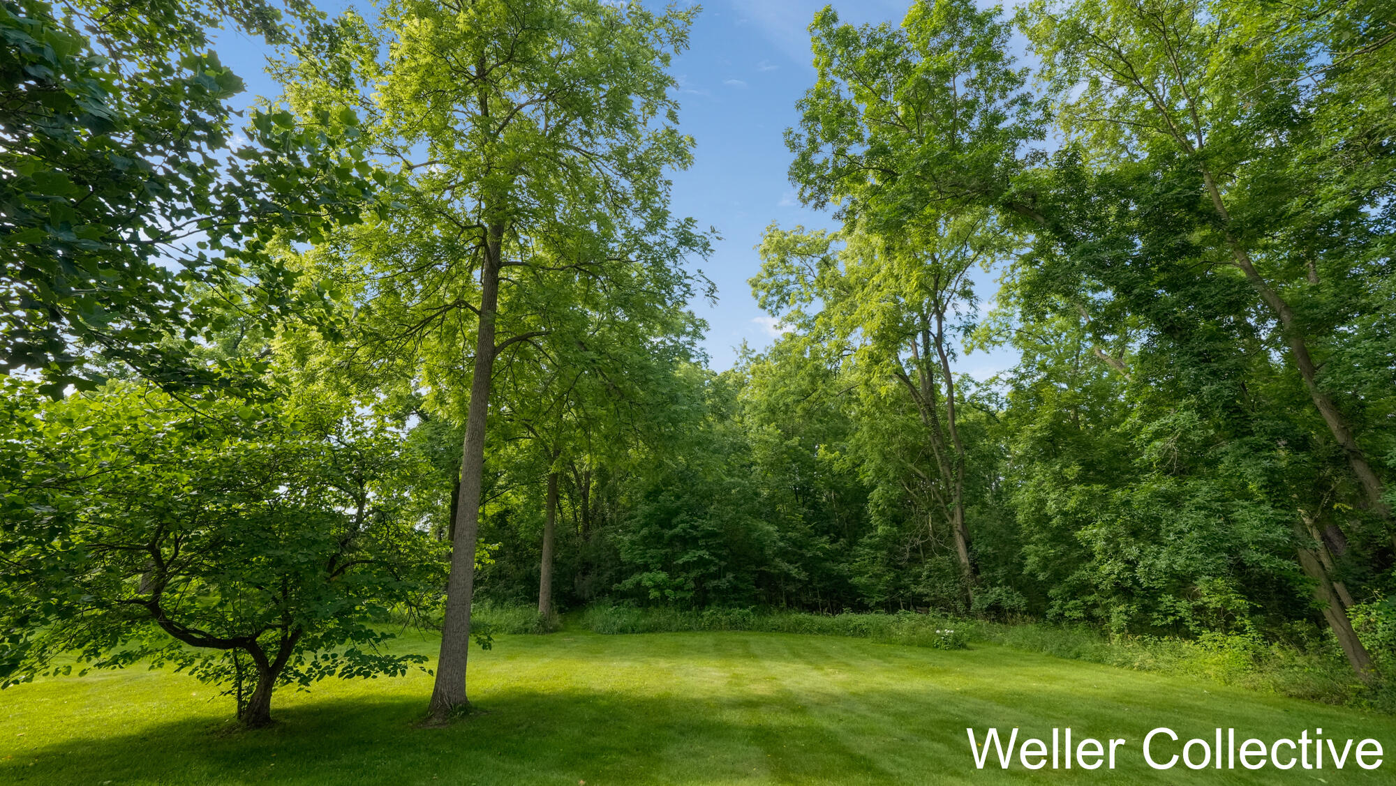 13399 Wing Road Bellevue, MI 49021 - Photo 55 of 77 _CR_3514