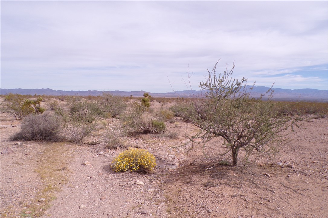 3916 Naco Road Golden Valley, AZ 86413 - Photo 11 of 18 View