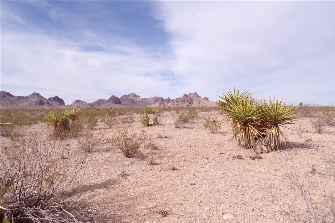 3916 Naco Road Golden Valley, AZ 86413 - Photo 2 of 18 View