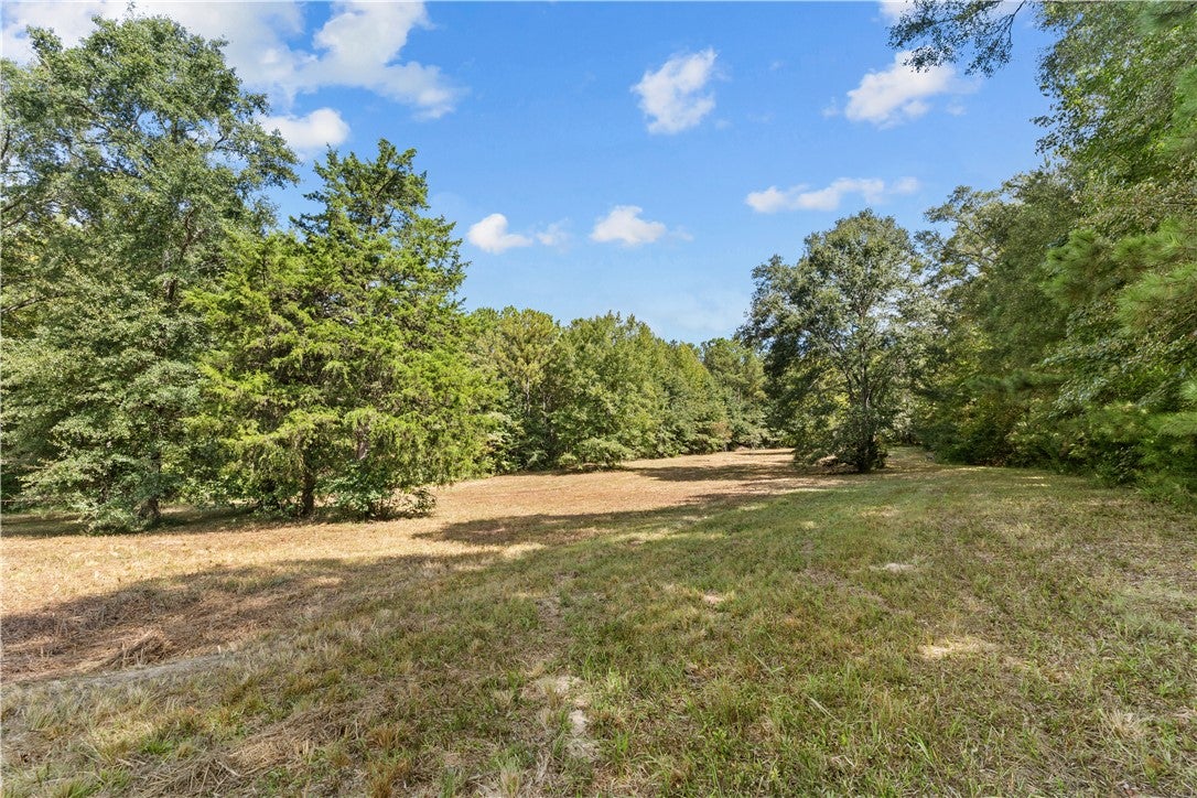 6348 Jackson Road Waverly, AL 36879 - Photo 39 of 50 Gallery Image 39