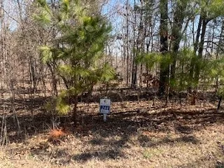 a view of backyard with green space