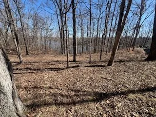 a view of a backyard of the house