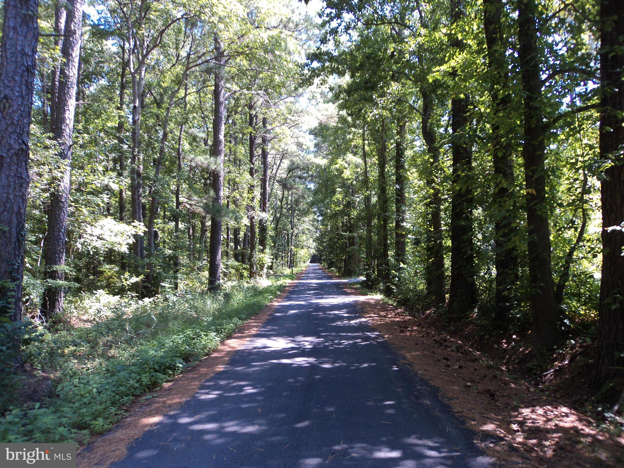 6871 Edge Creek Road St. Michaels, MD 21663 - Photo 26 of 26 a view of an outdoor space with trees all around
