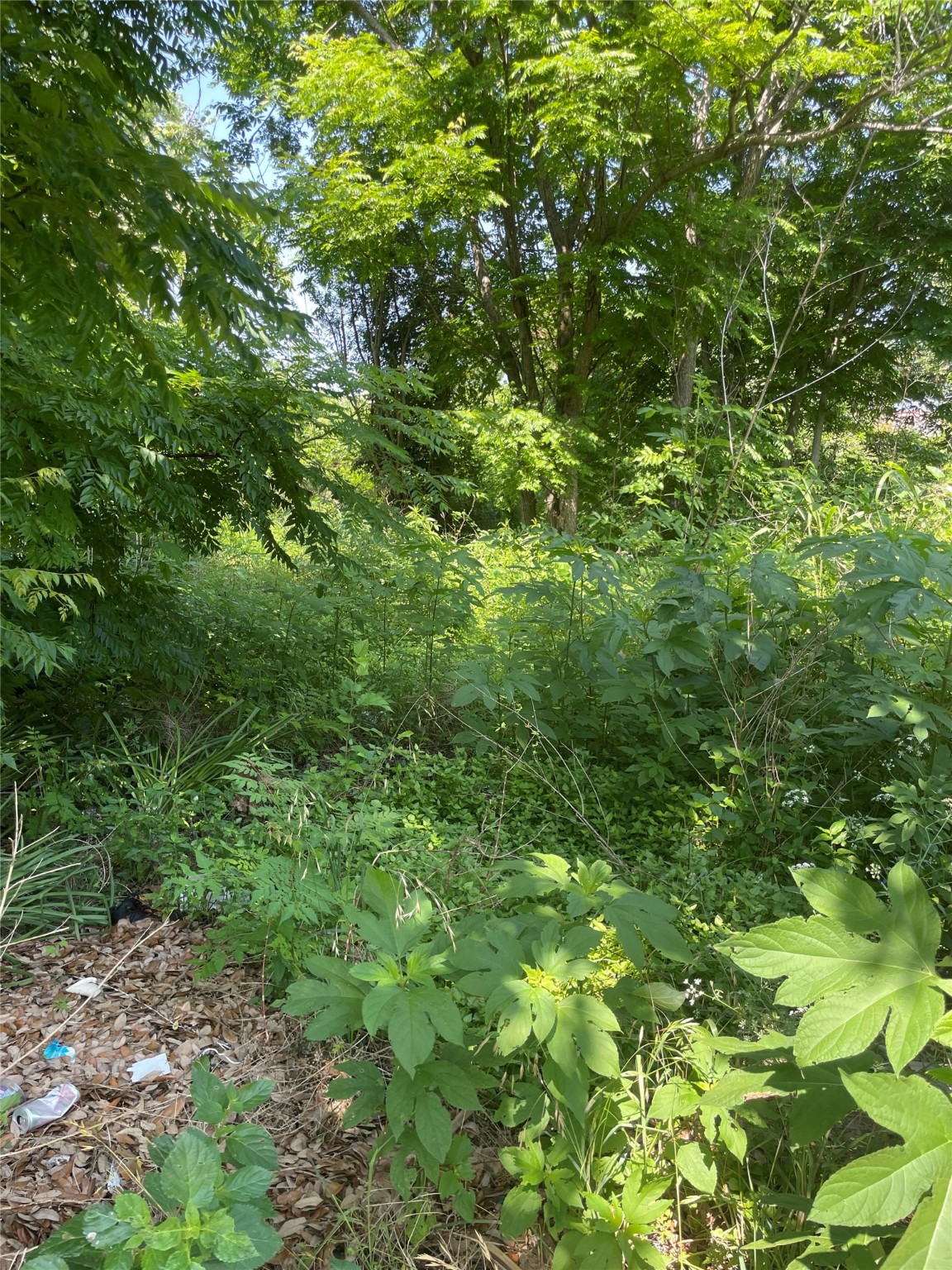 3507 Kimball Street Houston, TX 77026 - Photo 1 of 1 Vacant lot just off Collingsworth, ready for construction