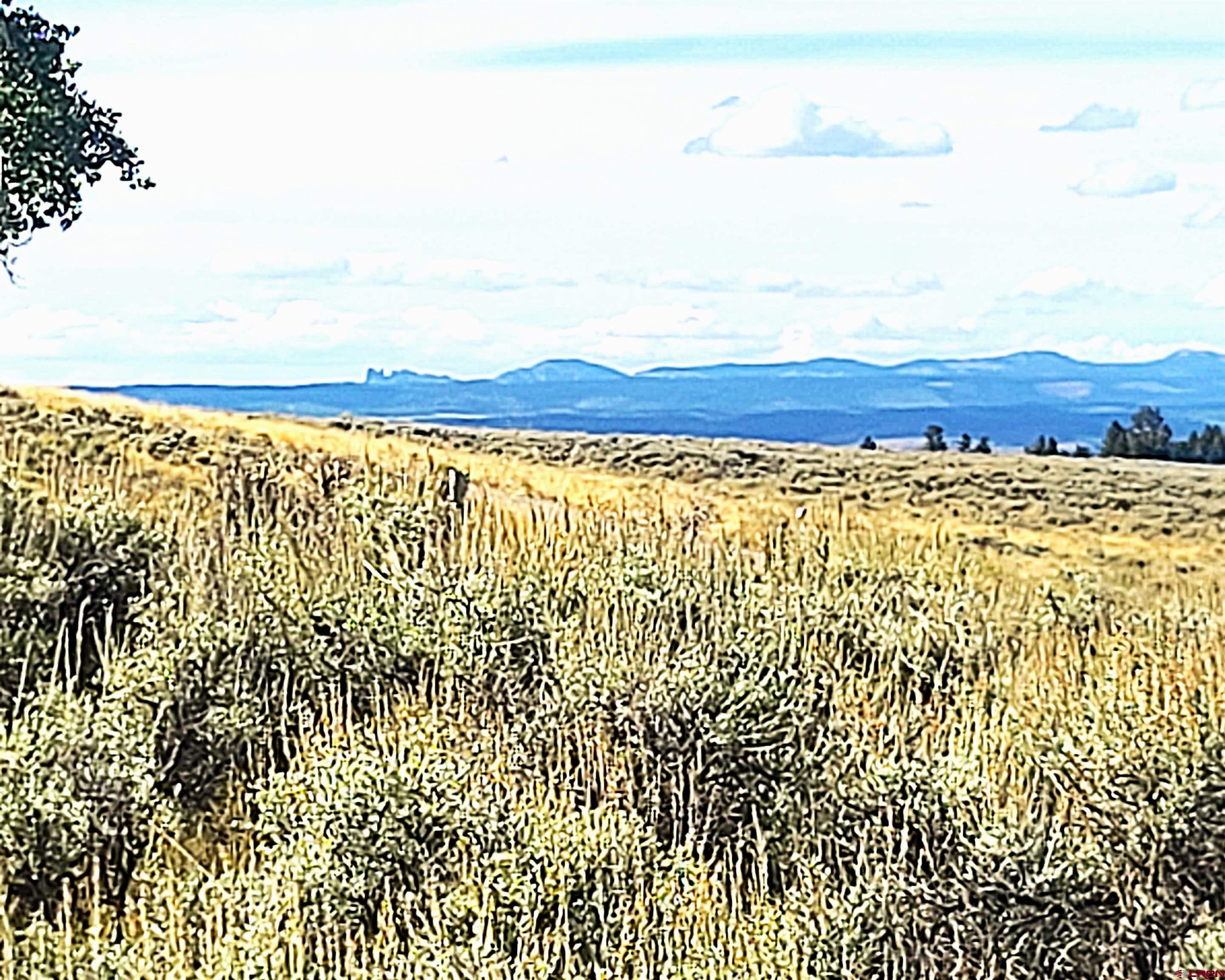 Tbd Monarch Lane Powderhorn, CO 81243 - Photo 11 of 13 a view of a lake view