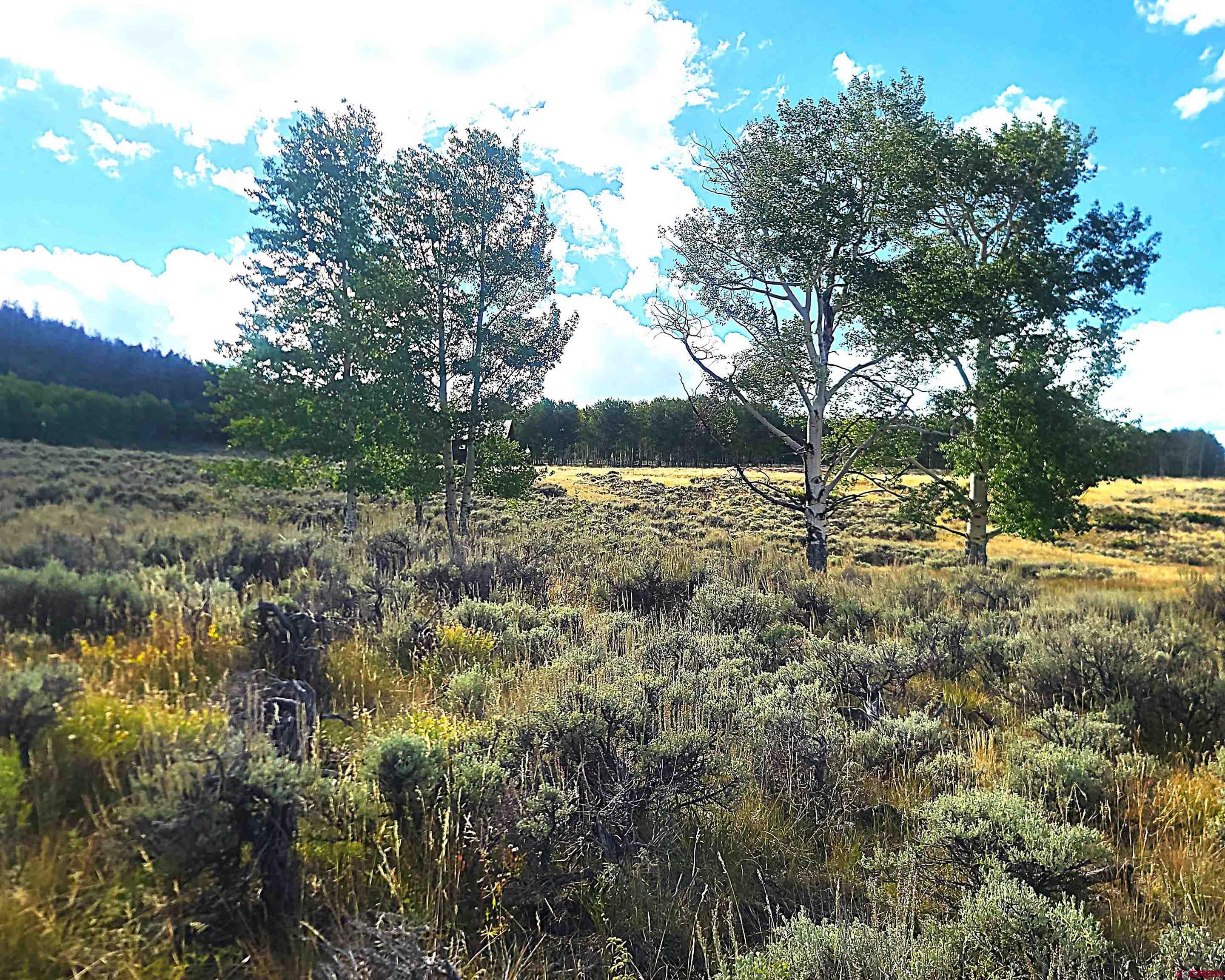 Tbd Monarch Lane Powderhorn, CO 81243 - Photo 2 of 13 a view of a yard with a tree