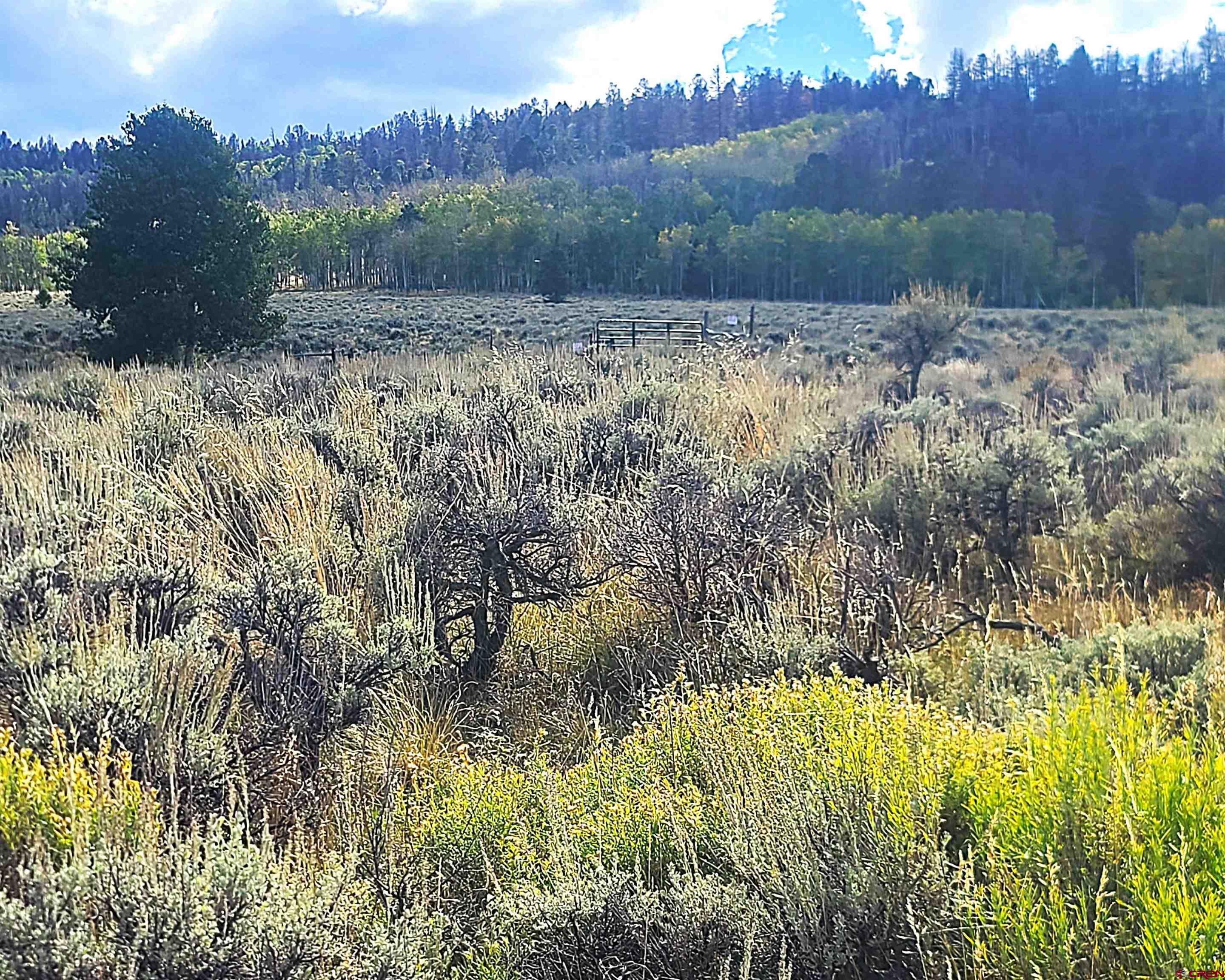 Tbd Monarch Lane Powderhorn, CO 81243 - Photo 3 of 13 a view of lake with mountain in the background