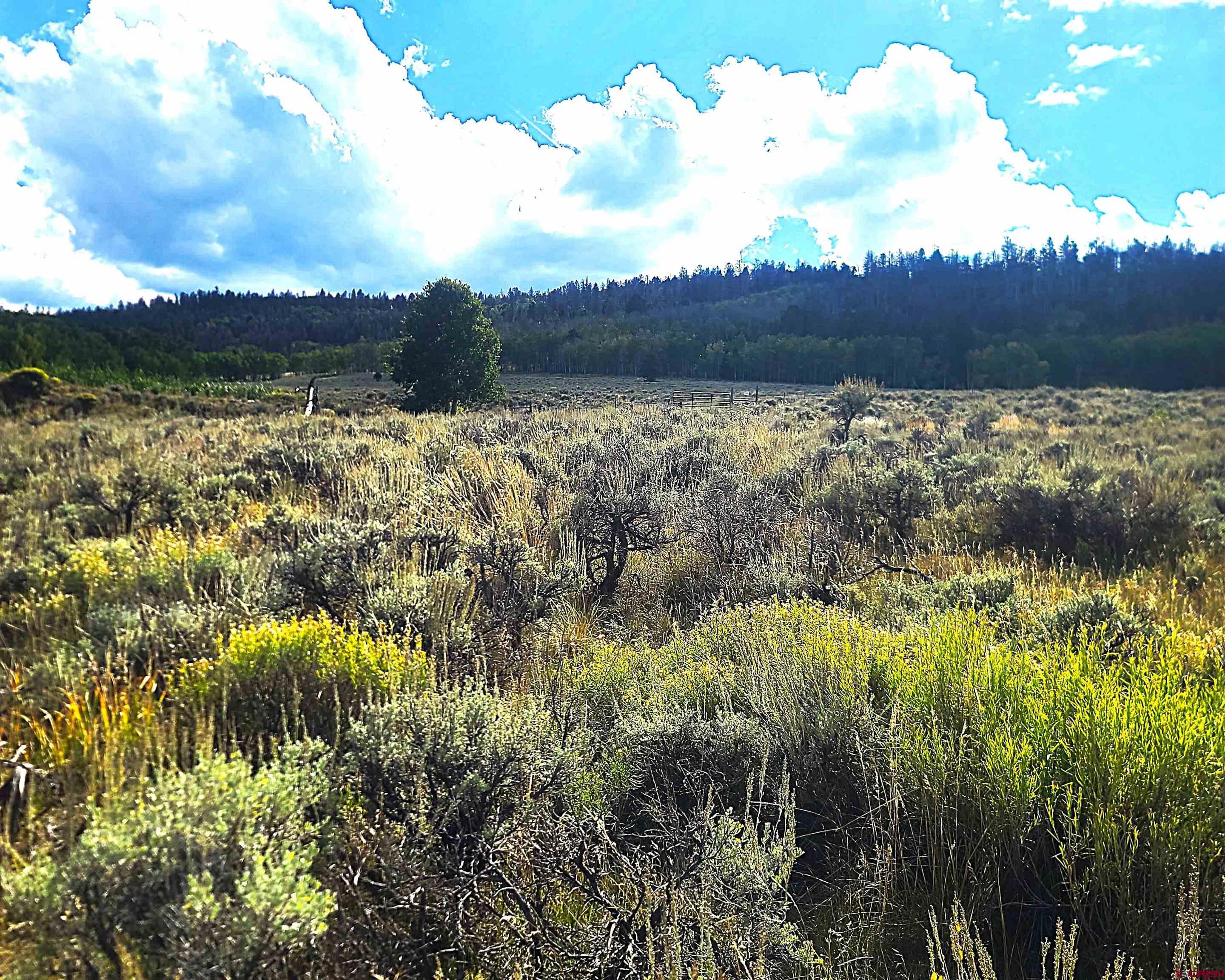 Tbd Monarch Lane Powderhorn, CO 81243 - Photo 4 of 13 a view of lake with mountain in the background