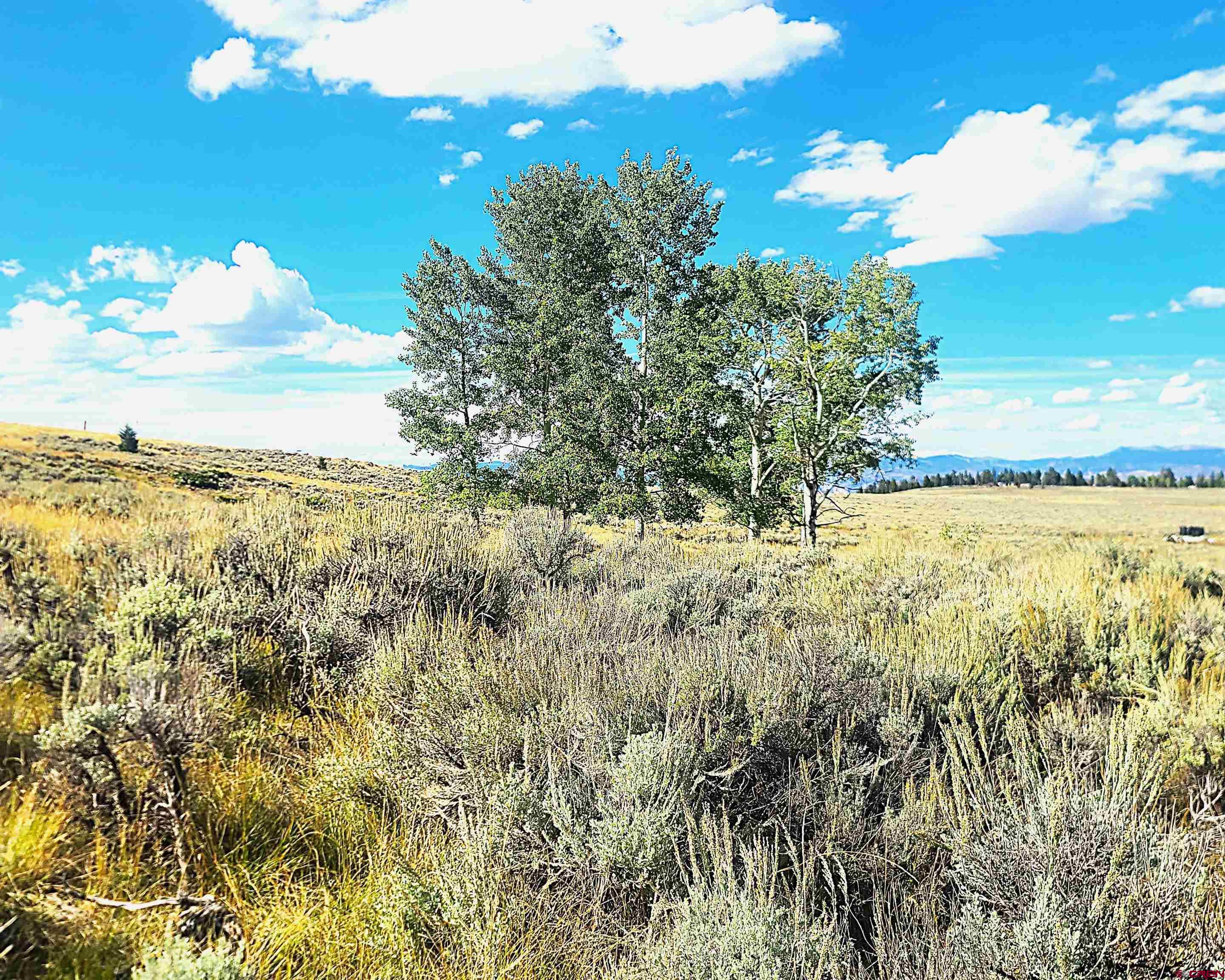 Tbd Monarch Lane Powderhorn, CO 81243 - Photo 5 of 13 a view of lake view and mountain view