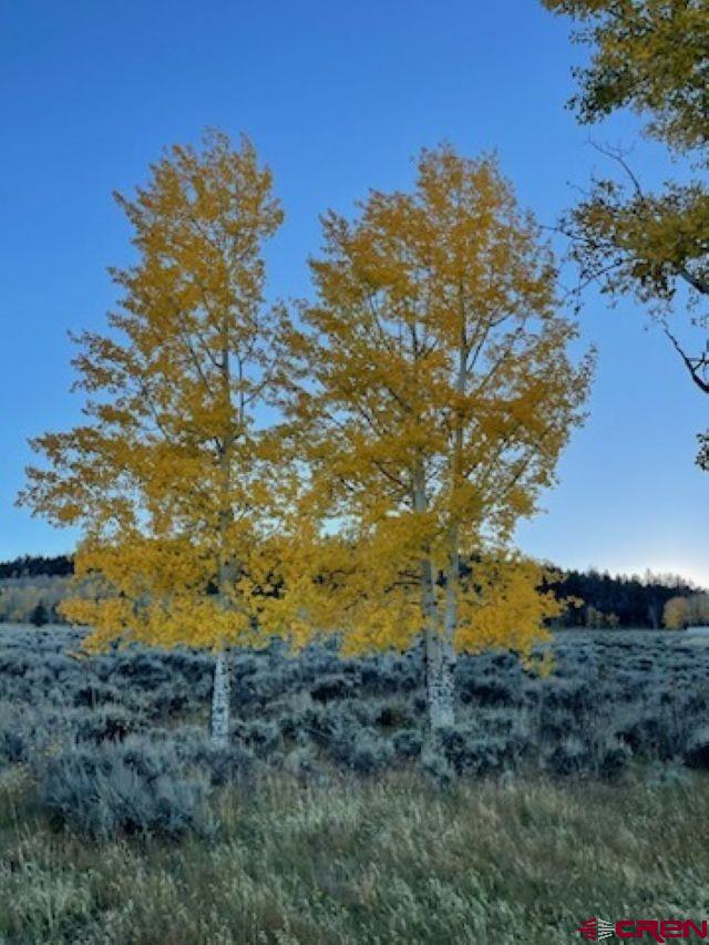 Tbd Monarch Lane Powderhorn, CO 81243 - Photo 8 of 13 a view of a yard
