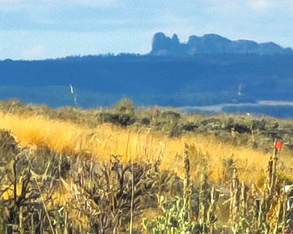 a view of an ocean and a mountain