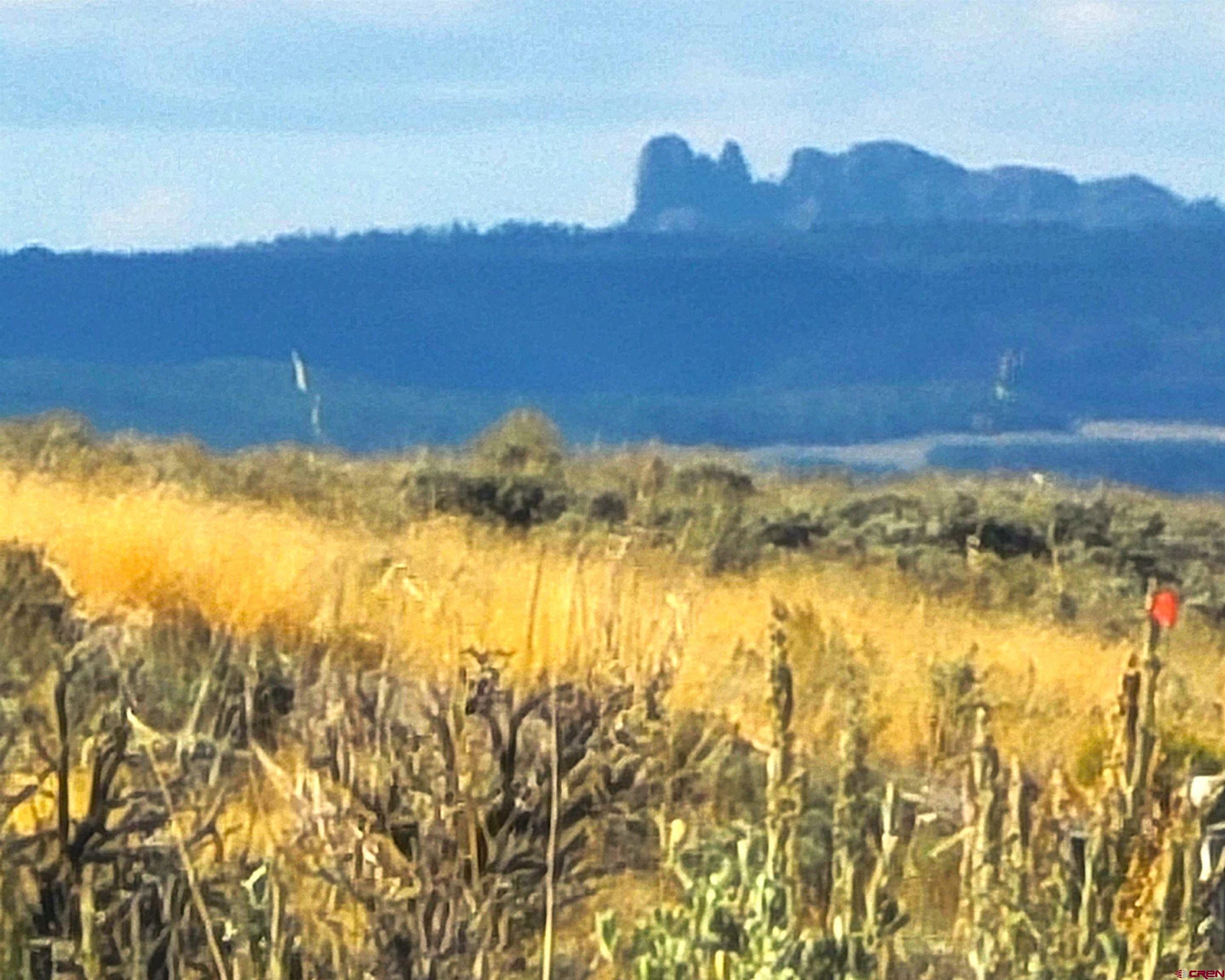 Tbd Monarch Lane Powderhorn, CO 81243 - Photo 9 of 13 a view of an ocean and a mountain