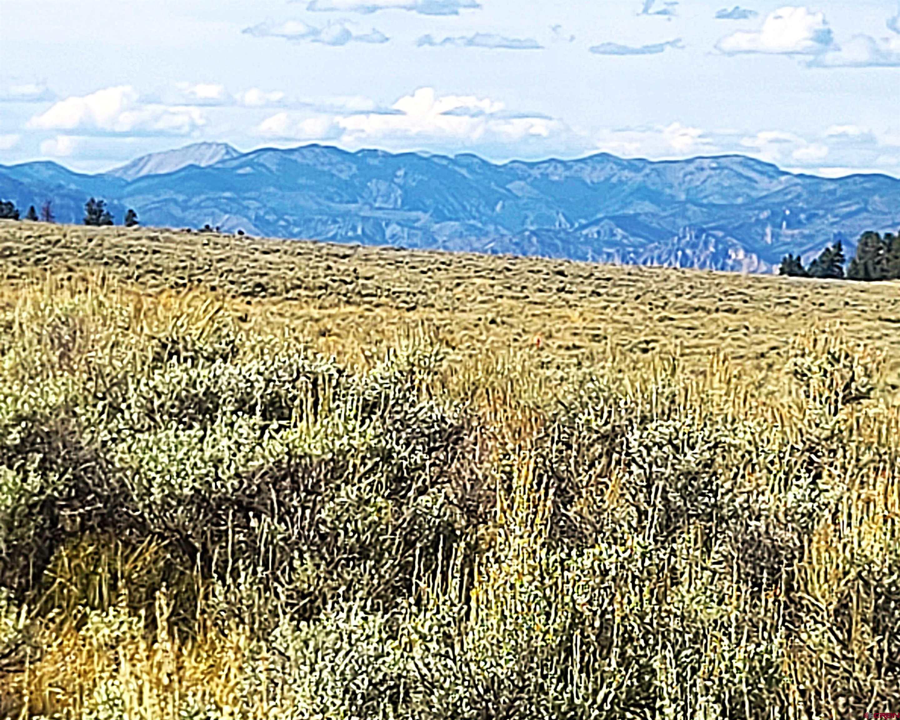 Tbd Monarch Lane Powderhorn, CO 81243 - Photo 10 of 13 a view of bathroom with a shower