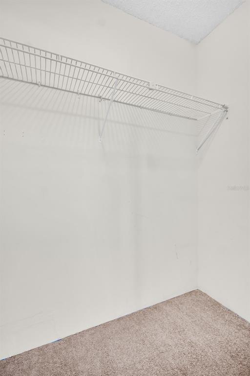 3109 Mission Grove Drive, Unit D Palm Harbor, FL 34684 - Photo 16 of 62