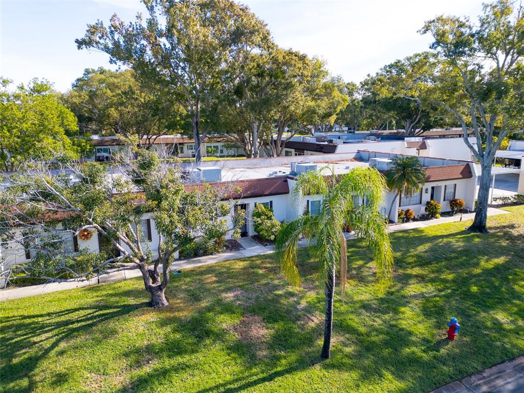 3109 Mission Grove Drive, Unit D Palm Harbor, FL 34684 - Photo 32 of 62 a view of a swimming pool with a patio