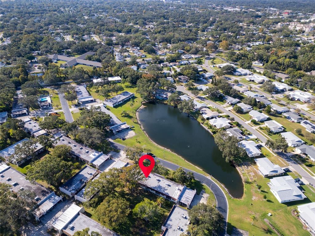 3109 Mission Grove Drive, Unit D Palm Harbor, FL 34684 - Photo 36 of 62