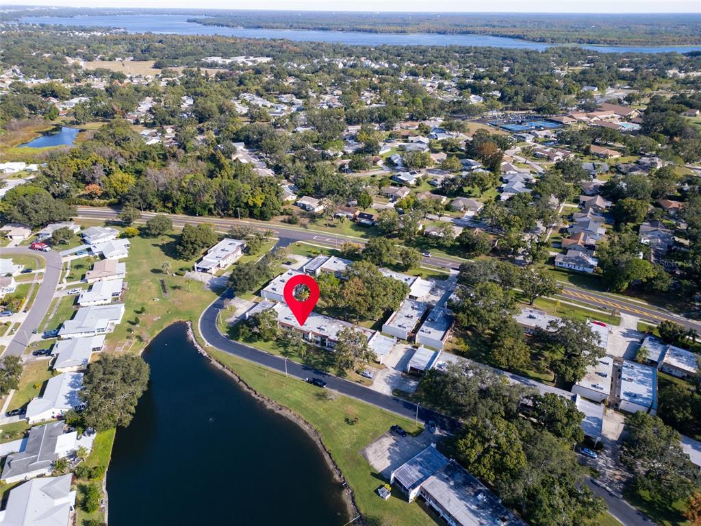 3109 Mission Grove Drive, Unit D Palm Harbor, FL 34684 - Photo 37 of 62