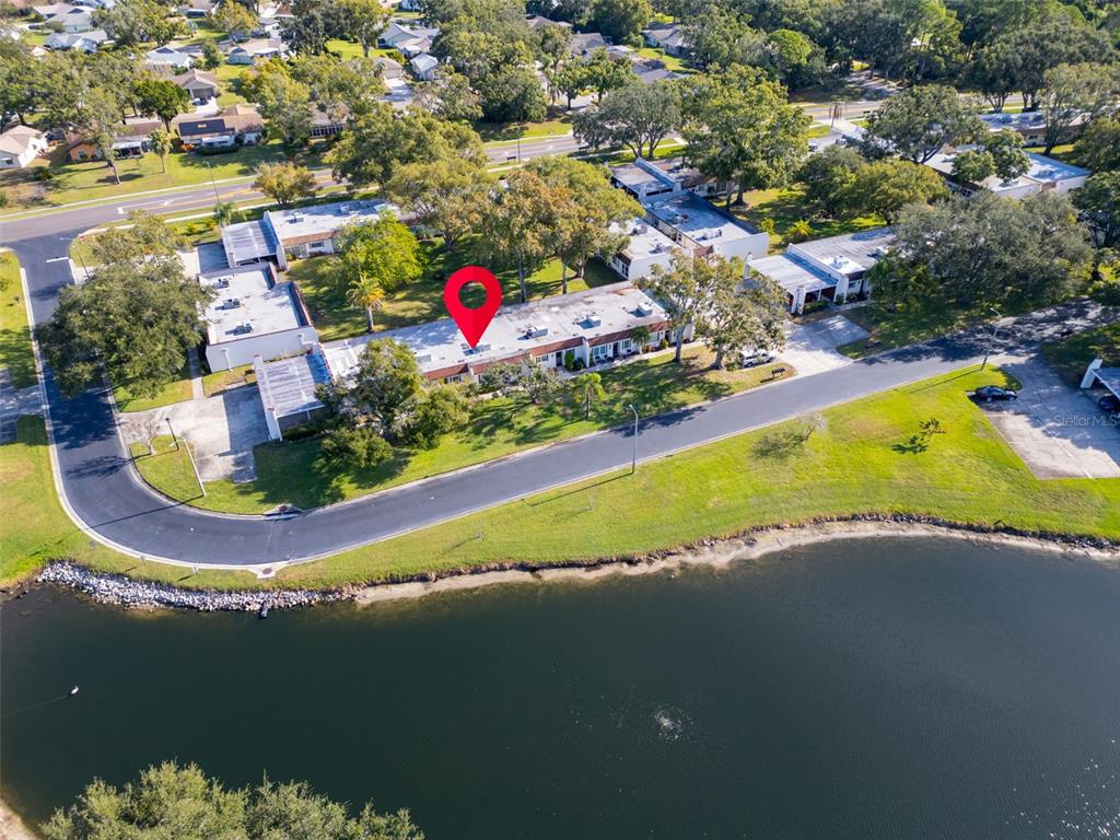 3109 Mission Grove Drive, Unit D Palm Harbor, FL 34684 - Photo 4 of 62 a view of a swimming pool