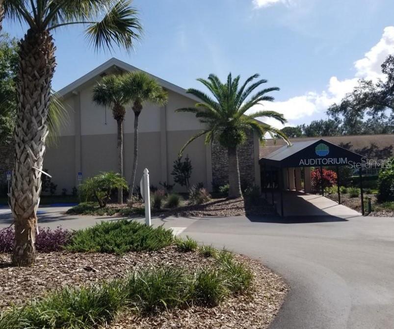 3109 Mission Grove Drive, Unit D Palm Harbor, FL 34684 - Photo 43 of 62 a couple of palm trees in front of house